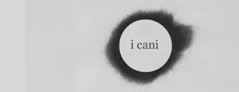 i cani